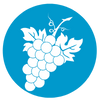 Vino